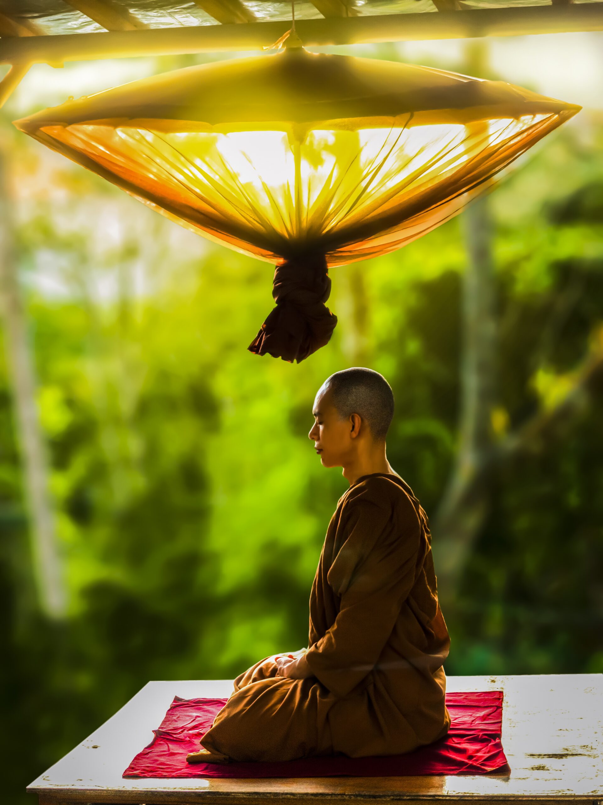 MEDITATION ROADBLOCKS – Learn several ways to STOP doing Meditation the wrong way!